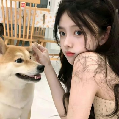 圣诞王子：皇家婚礼